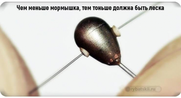 Какая леска лучше для зимней рыбалки и как сделать выбор