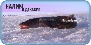 Ловля карася зимой на мормышку и топ лучших моделей