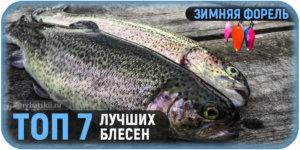 Тактика рыбалки на плотву по первому льду