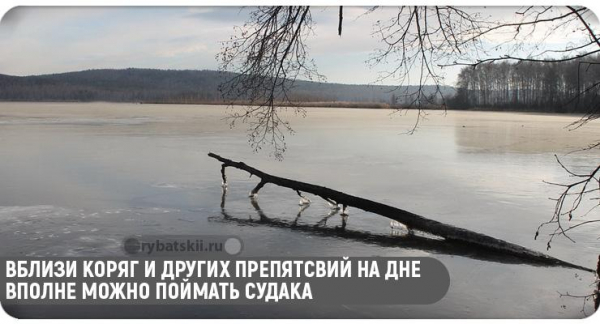 Виды жерлицы на судака зимой и изготовление своими руками