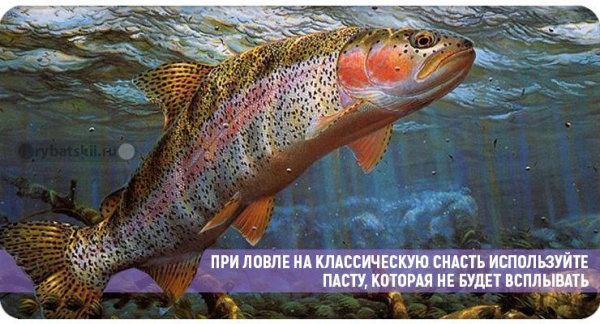 Оснастка зимней форелевой удочки и выбор инструмента