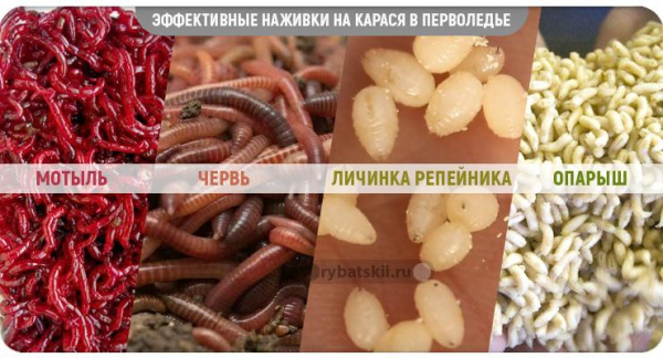 Как ловить карася по первому льду на пруду