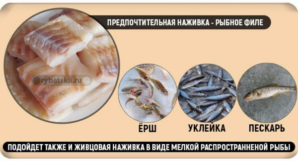 Рыбалка на налима зимой на стукалку и изготовление снасти
