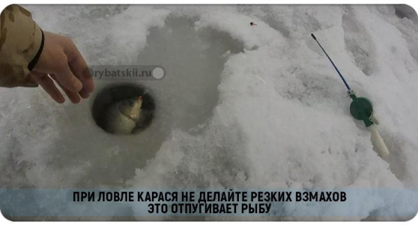 Ловля карася в декабре на поплавок и мормышку