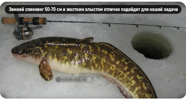 Рыбалка на налима зимой на стукалку и изготовление снасти