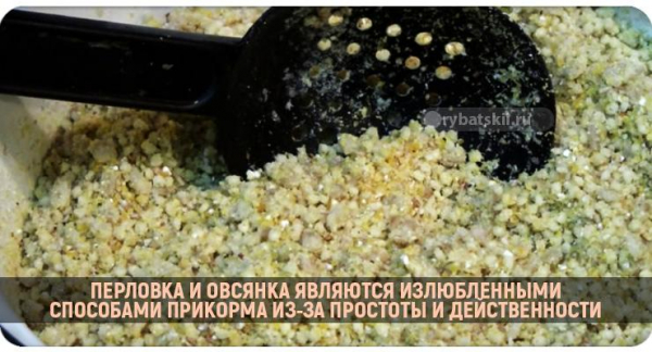 Как ловить голавля зимой на реке и подготовиться к рыбалке