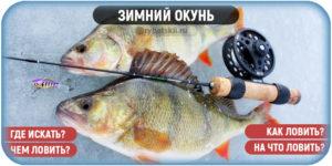 Хитрости зимней рыбалки на окуня на мормышку