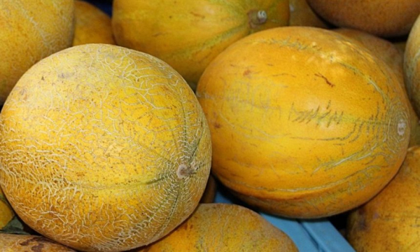 10 продуктов, которые помогут повысить либидо