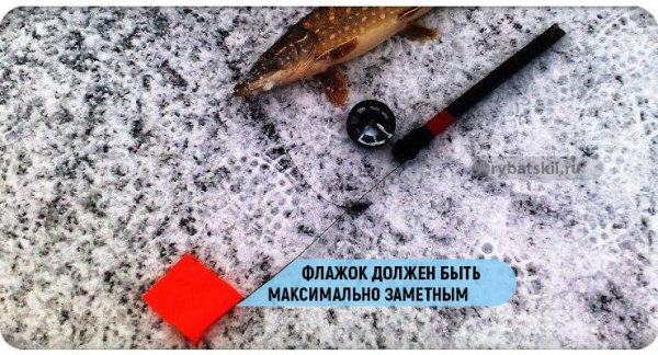 Ловля щуки зимой на жерлицы по первому льду и нюансы рыбалки