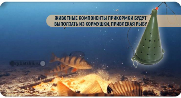 Чем прикормить окуня зимой в лунке и какой запах любит хищник