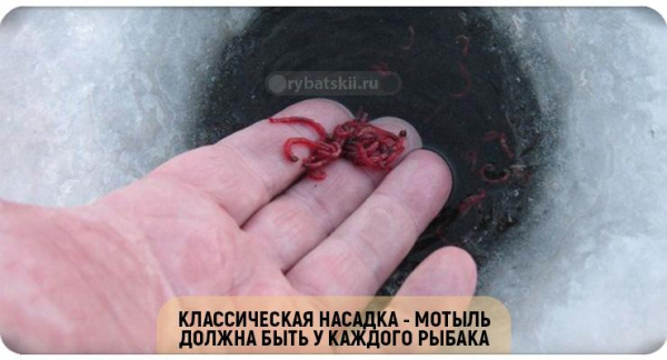 Ловля карася в декабре на поплавок и мормышку