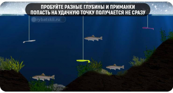 Оснастка снастей для зимней рыбалки на форель и выбор приманок
