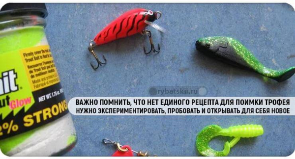 Оснастка снастей для зимней рыбалки на форель и выбор приманок