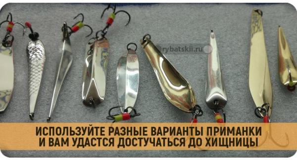Зимняя рыбалка на щуку с блесной со льда