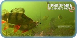 Оснастка зимней форелевой удочки и выбор инструмента