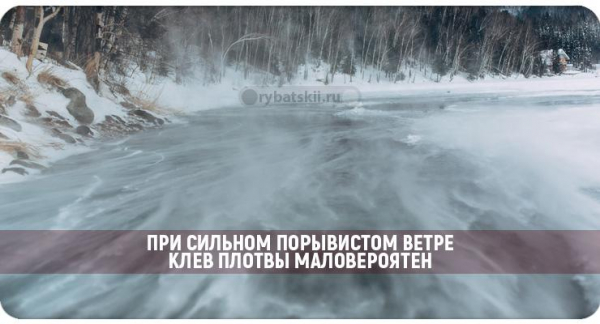 Зимняя рыбалка на плотву и поиск рыбы со льда