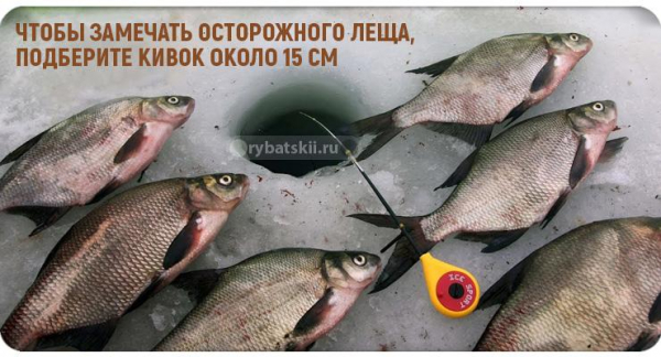Ловля леща на чёртика зимой и выбор мормышки