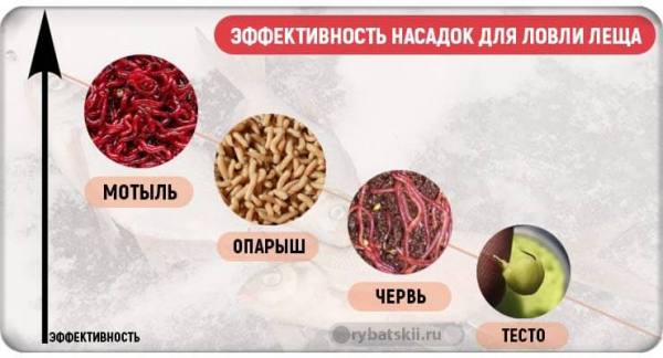 Ночная рыбалка на леща зимой и тактика ловли