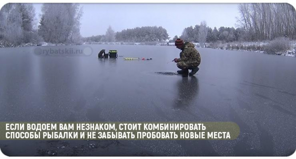 Как ловить карася по первому льду на пруду