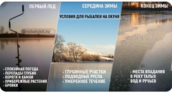 Хитрости зимней рыбалки на окуня на мормышку