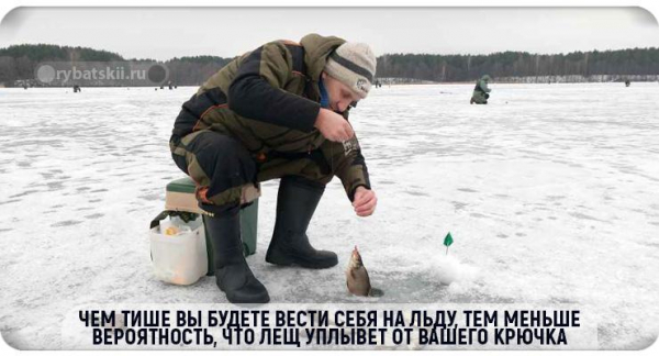 Подлёдная рыбалка зимой на леща с рабочими снастями