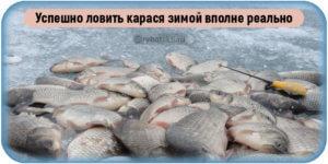Зимняя рыбалка на щуку с блесной со льда