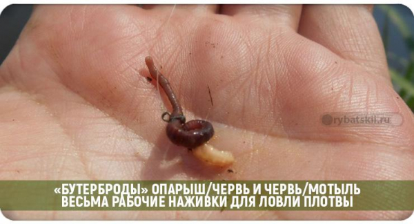 Зимняя рыбалка на плотву и поиск рыбы со льда