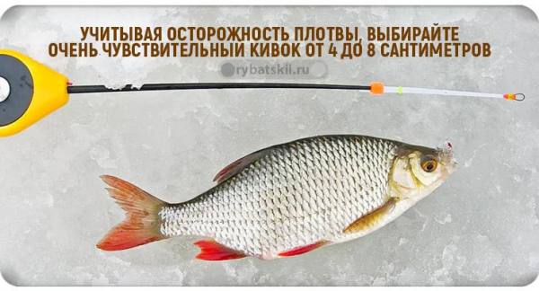 Зимняя рыбалка на плотву и поиск рыбы со льда