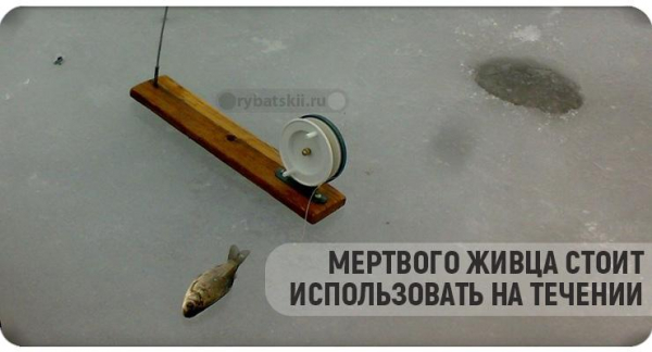 Виды жерлицы на судака зимой и изготовление своими руками
