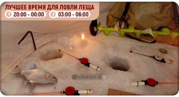 Ночная рыбалка на леща зимой и тактика ловли