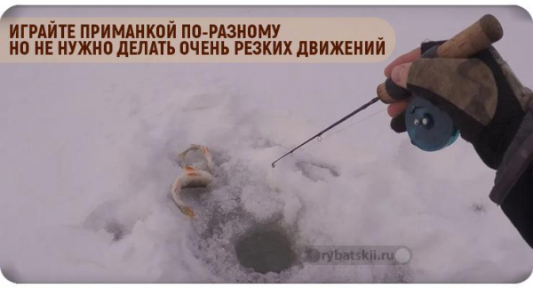 Зимняя рыбалка на щуку с балансиром и подготовка снасти