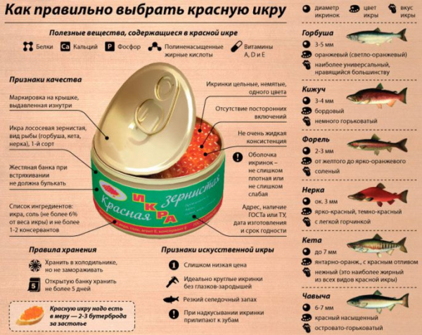 Икра кеты или кижуча — какая икра лучше?