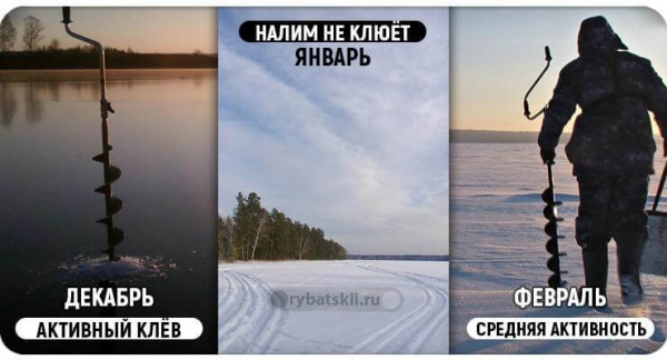 Рыбалка на налима зимой на стукалку и изготовление снасти