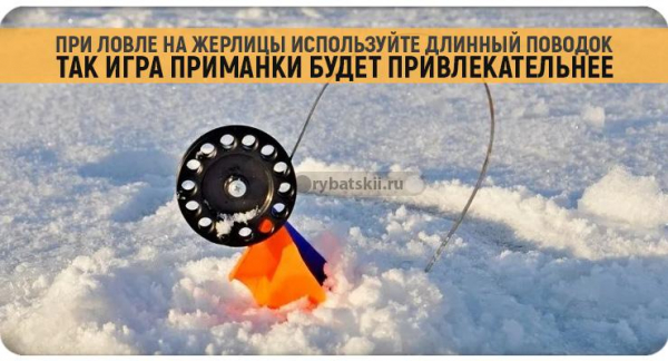 Как ловить голавля зимой на реке и подготовиться к рыбалке