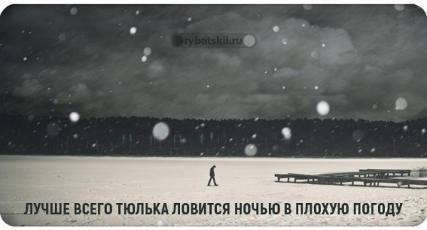 Зимняя ловля судака на тюльку и подготовка к рыбалке