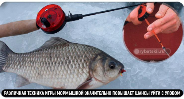 Ловля карася зимой на мормышку и топ лучших моделей