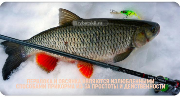 Как ловить голавля зимой на реке и подготовиться к рыбалке