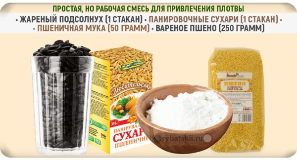 Тактика рыбалки на плотву по первому льду