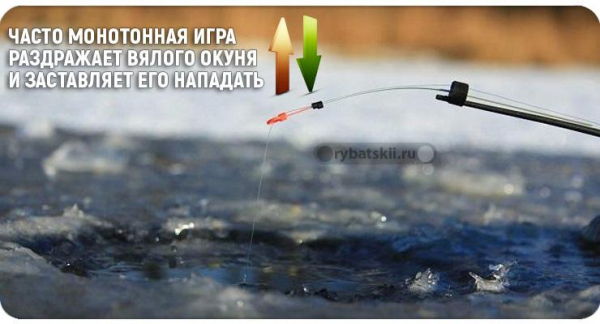 На что ловить окуня в декабре и где искать