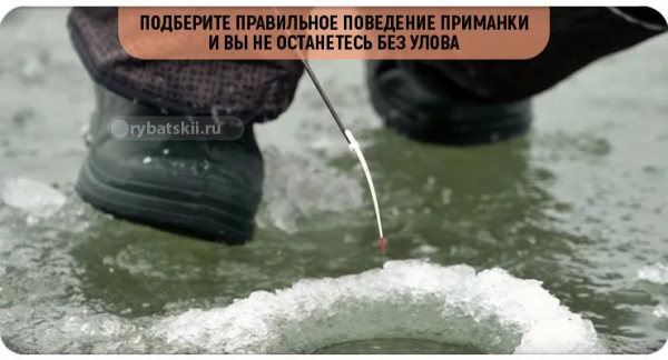 Хитрости зимней рыбалки на окуня на мормышку