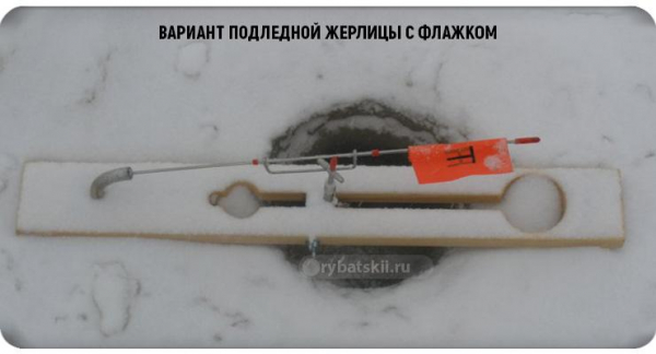 Ловля щуки зимой на жерлицы по первому льду и нюансы рыбалки