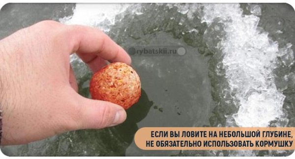 Чем прикормить окуня зимой в лунке и какой запах любит хищник
