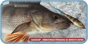 Виды жерлицы на судака зимой и изготовление своими руками