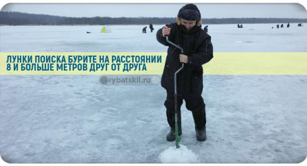 На что ловить окуня в декабре и где искать
