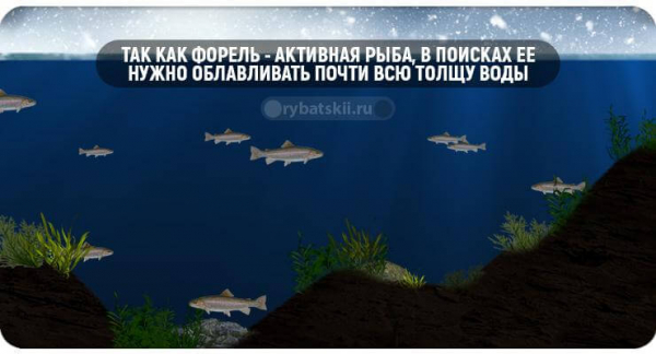 Оснастка снастей для зимней рыбалки на форель и выбор приманок