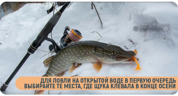 На что ловить щуку в декабре и насколько активна хищница