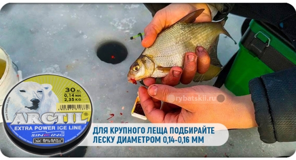 Ловля леща зимой на поплавочную удочку деликатной снастью