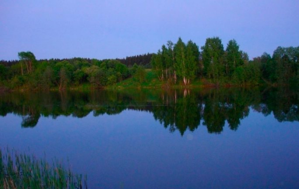 Платная рыбалка в Подмосковье