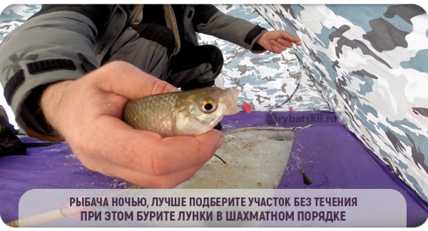 Как эффективно ловить плотву в гухозимье