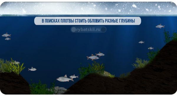 Как сделать тесто для зимней рыбалки своими руками